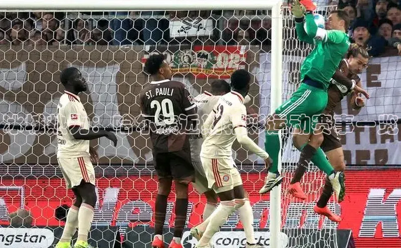 冰城热力：哈尔滨近期精彩运动赛事一览