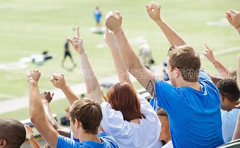 乐乐课堂：体育精神与文化-简述运动赛事的教育价值