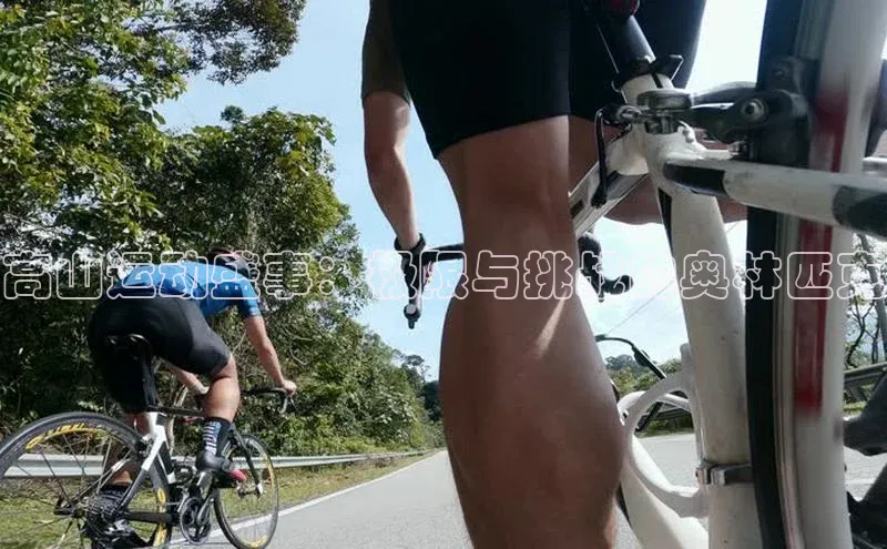 高山运动盛事：极限与挑战的奥林匹克