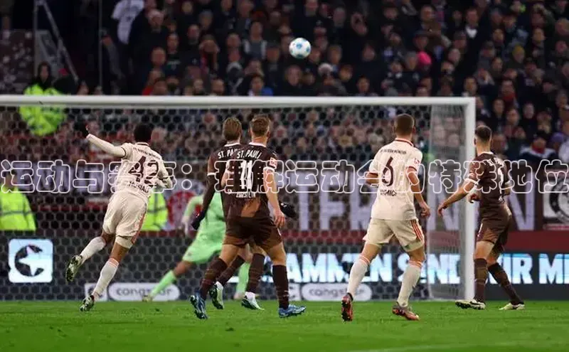 运动与赛事：理解运动会的特殊地位