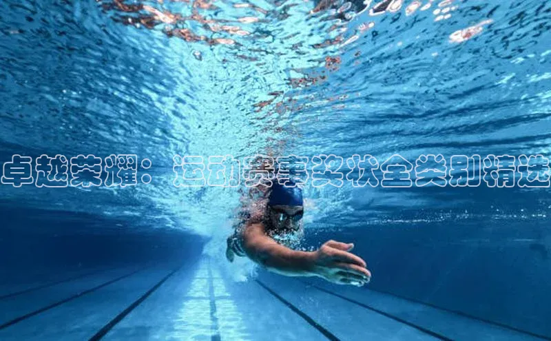 卓越荣耀：运动赛事奖状全类别精选