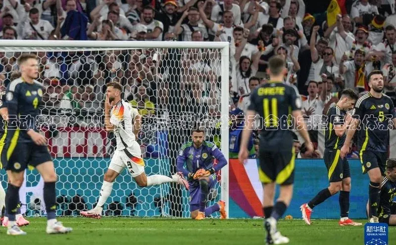 运动赛事：从国家锦标赛到全球运动会的完整层级体系