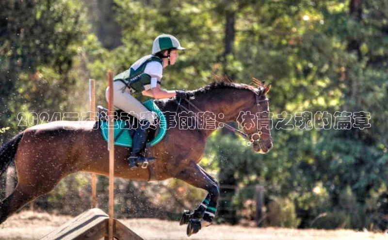 2024云南运动赛事前瞻：体育之魂的篇章