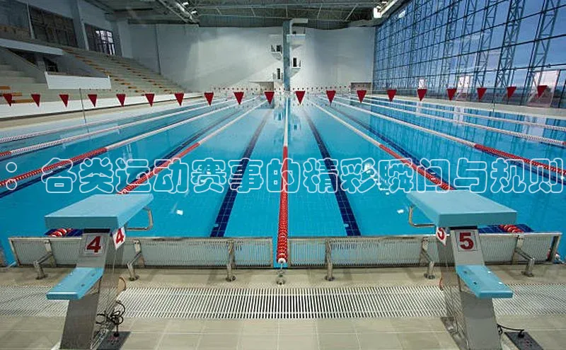 ：各类运动赛事的精彩瞬间与规则