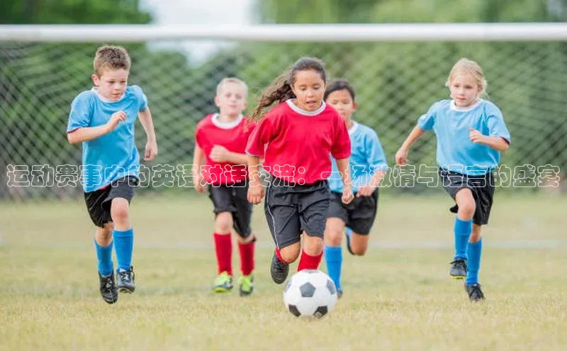 运动赛事中的英语对话交流：一场激情与语言的盛宴