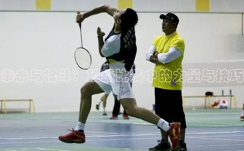 拳击与格斗：顶级比赛中的力量与技巧