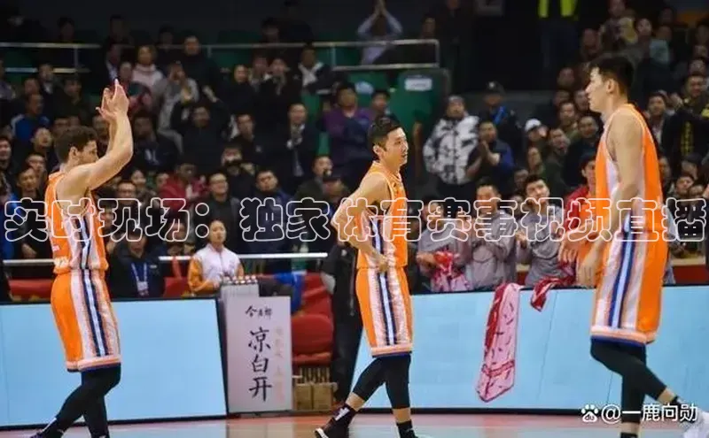 实时现场：独家体育赛事视频直播