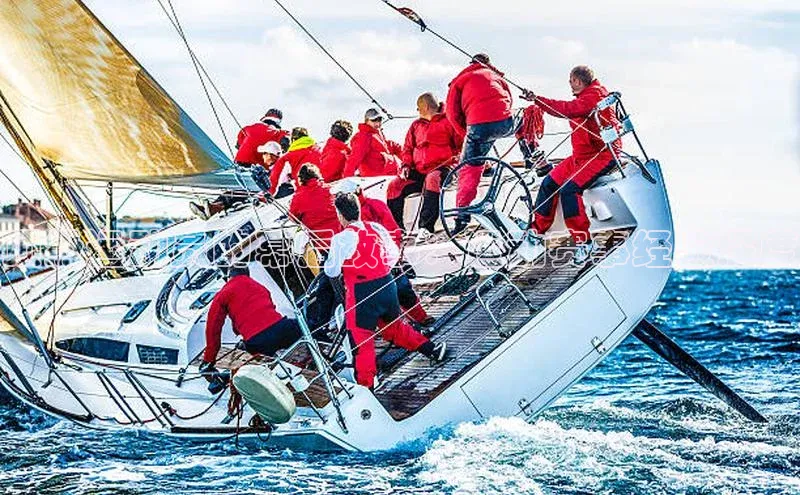 顶级运动员的幕后故事：运动赛事经验深度