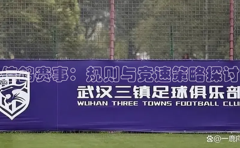 信鸽赛事：规则与竞速策略探讨